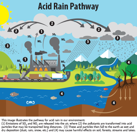 acid rain